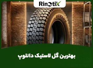 بهترین گل لاستیک دانلوپ
