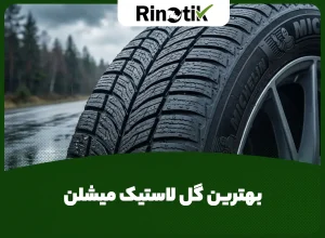 بهترین گل لاستیک میشلن